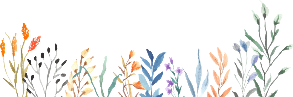 Watercolor Wildflowers Illustration